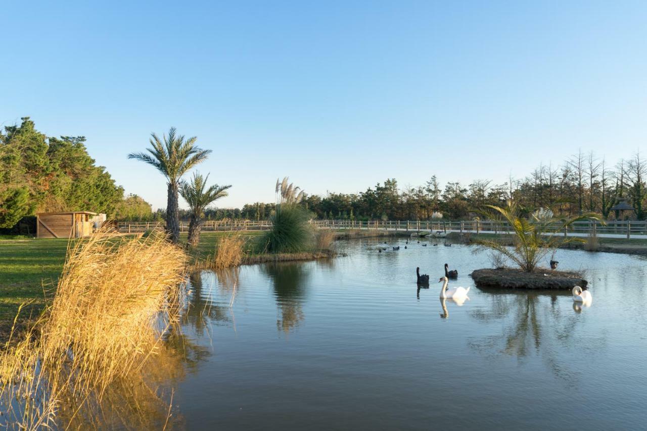 Abri Cosy - Suite Romantique En Camargue Saint-Gilles  Esterno foto